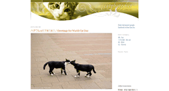 Desktop Screenshot of catphoto.net